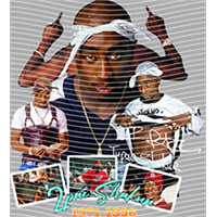 idol singer-GS  1081